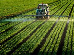 pesticide